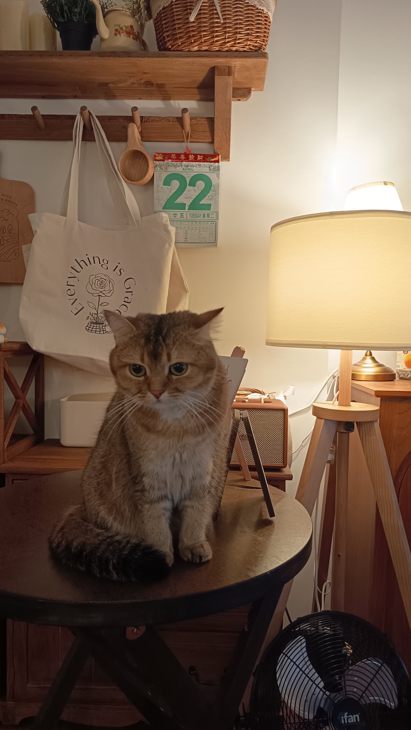 Carve with Totoro - 13 Jul, 10am