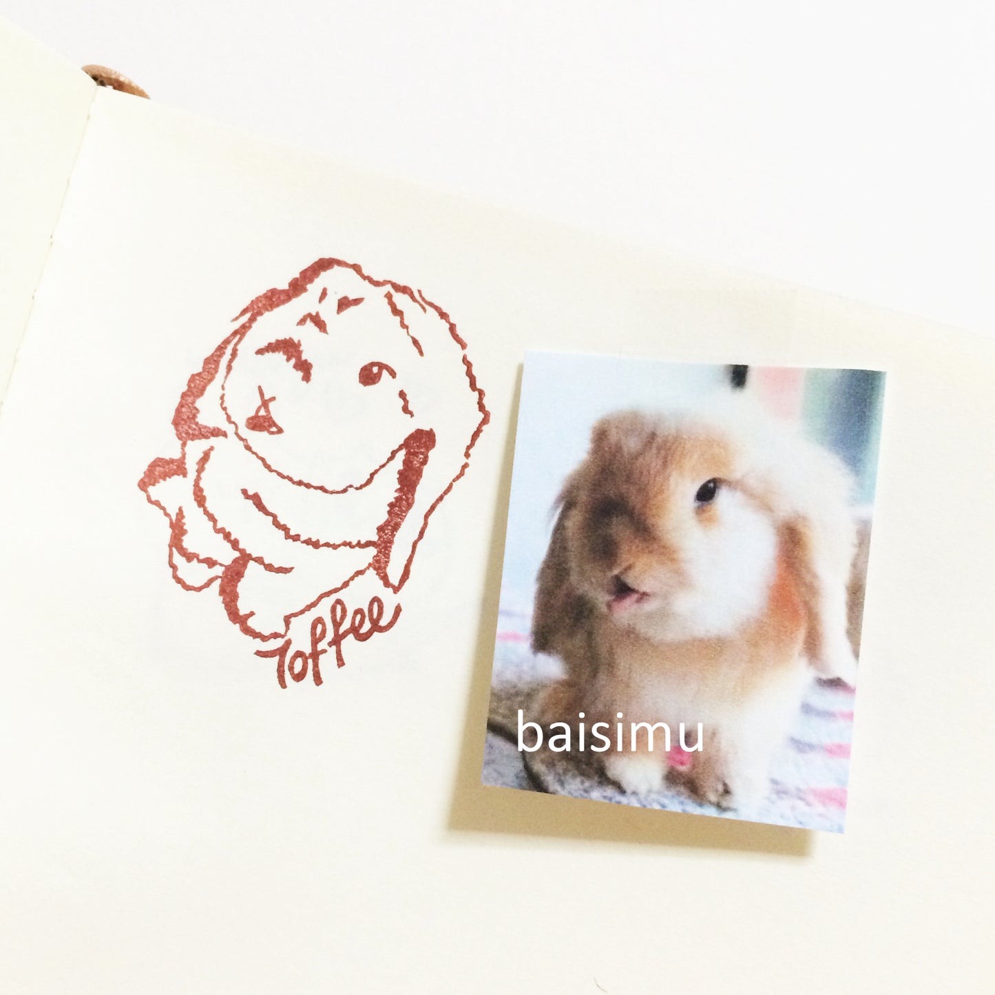 Customized pet stamp